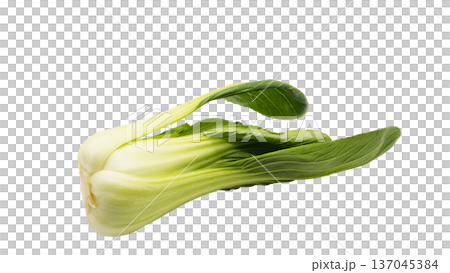 新鮮なチンゲンサイ マクロ写真 背景透過素材 137045384