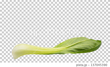 Fresh bok choy macro photo transparent background material 137045390