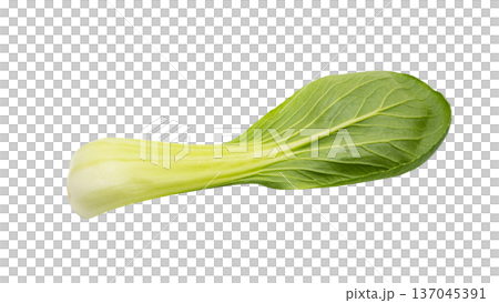 Fresh bok choy macro photo transparent background material 137045391