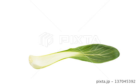 新鮮なチンゲンサイ マクロ写真 背景透過素材 137045392