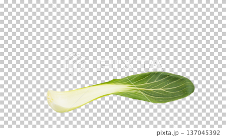 新鮮なチンゲンサイ マクロ写真 背景透過素材 137045392