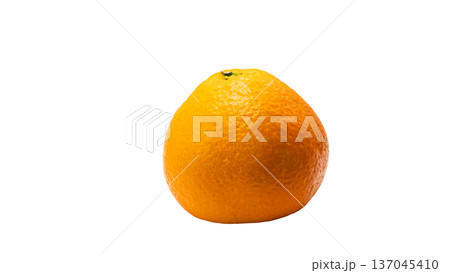 伊予柑 果実 背景透過 マクロ撮影 137045410