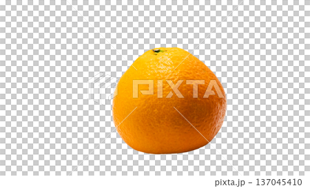 伊予柑 果実 背景透過 マクロ撮影 137045410