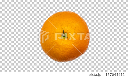 伊予柑 果実 背景透過 マクロ撮影 137045411