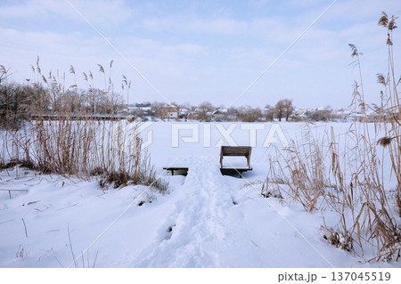 A single bench in front of a lake in winter 137045519