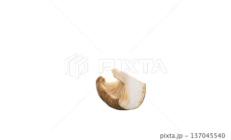 しいたけのカット断面 マクロ撮影 背景透過 137045540