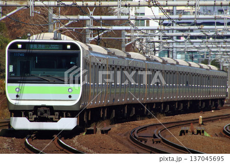 ［JY］山手線E235系（205系風ラッピング車両：環状運転100周年記念） 137045695