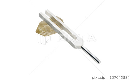 シトリンとクリスタルチューナー マクロ撮影 背景透過 137045884