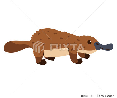 Cute cartoon platypus isolated on a white background. Cute cartoon platypus isolated on a white background. 137045967