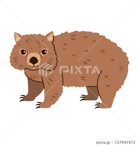 Cute cartoon wombat isolated on a white background. 137045972