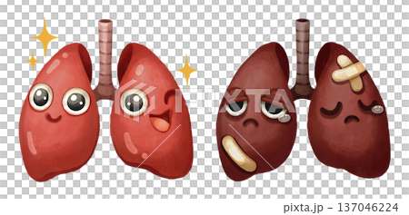 Watercolor cartoon comparison of a healthy lung and damaged lungs. Representing conditions like smoking, asthma, COPD or lung cancer. Transparent background illustration. 137046224