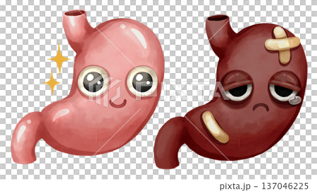 Watercolor cartoon comparison of a healthy stomach and unhealthy stomach. Representing conditions like gastritis, ulcers, digestion, or eating habits. Transparent background illustration. 137046225
