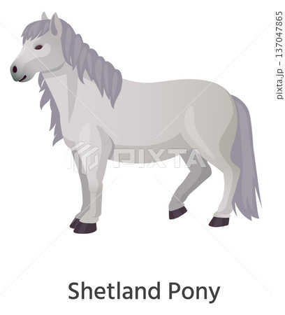 Shetland pony cartoon icon. Purebred domestic animal 137047865