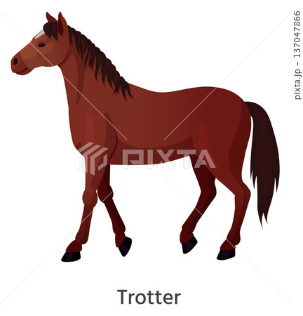 Trotter color icon. Racing horse. Animal character 137047866