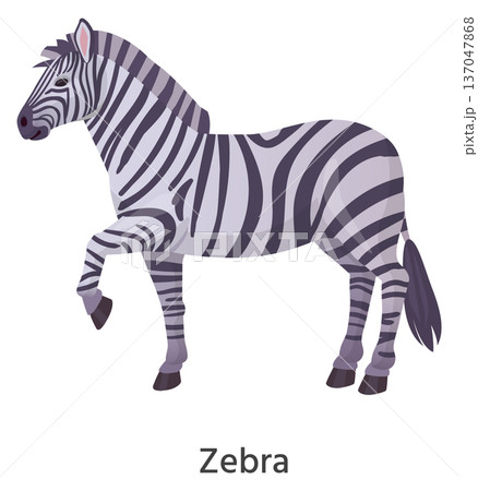 Zebra cartoon icon. African horse. Safari animal Zebra cartoon icon. African horse. Safari animal 137047868