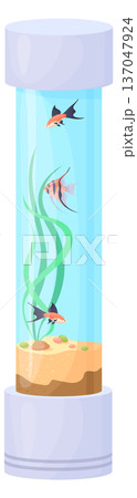 Fish swim in glass tank. Underwater wildlife bowl Fish swim in glass tank. Underwater wildlife bowl 137047924