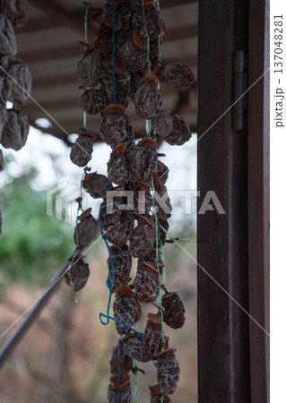 Dried persimmon fruits hanging on strings, close up of natural preserved fruit with soft background and warm earthy tones. Image supports food marketing, healthy snack promotion Dried persimmon fruits hanging on strings, close up of natural preserved fruit with soft background and warm earthy tones. Image supports food marketing, healthy snack promotion 137048281