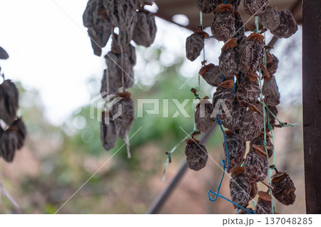 Dried persimmon fruits hanging on strings, close up of natural preserved fruit with soft background and warm earthy tones. Image supports food marketing, healthy snack promotion Dried persimmon fruits hanging on strings, close up of natural preserved fruit with soft background and warm earthy tones. Image supports food marketing, healthy snack promotion 137048285