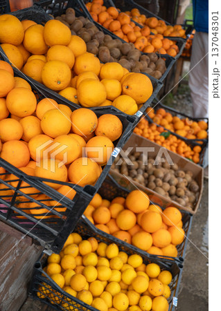 Market stall with mandarins and kiwifruit in plastic crates, bright citrus colors and fresh produce arranged for retail display. Grocery marketing, healthy food promotion, local market storytelling Market stall with mandarins and kiwifruit in plastic crates, bright citrus colors and fresh produce arranged for retail display. Grocery marketing, healthy food promotion, local market storytelling 137048301