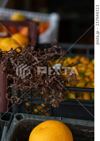 Candy tree dried fruits and citrus crates, natural brown twisted stems with bright orange mandarins in soft market background. Food marketing, natural product promotion, herbal ingredient education 137048313