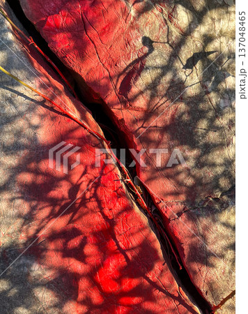 Red Light and Tree Shadows on Cracked Rock Red Light and Tree Shadows on Cracked Rock 137048465