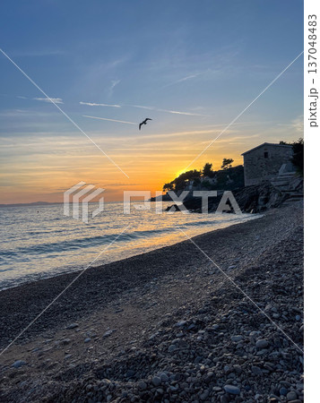 Sunset on the seashore with a seagull in the sky 137048483