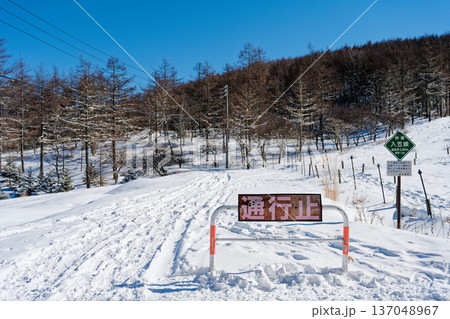 入笠山の林道 入笠山の林道 137048967