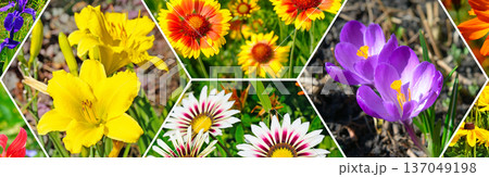 Panoramic Collage of Vibrant Spring and Summer Garden Flowers Panoramic Collage of Vibrant Spring and Summer Garden Flowers 137049198
