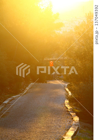 a sunny road in the village 137049392