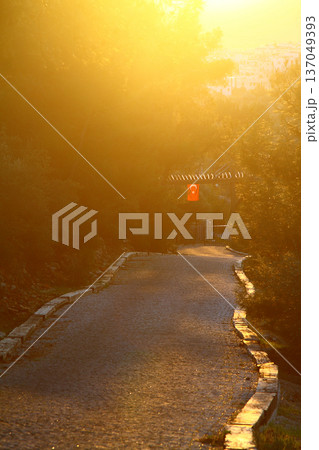 a sunny road in the village 137049393