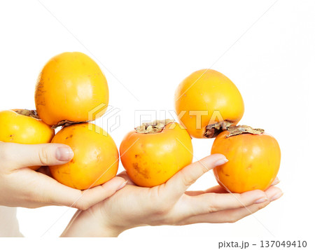 Hand holding persimmon kaki fruits, isolated Hand holding persimmon kaki fruits, isolated 137049410