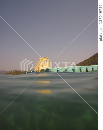 photo taken under water photo taken under water 137049736