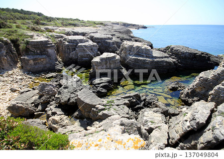 sea and cliffs. A Rocky Area By The Sea istanbul, Turkey sea and cliffs. A Rocky Area By The Sea istanbul, Turkey 137049804