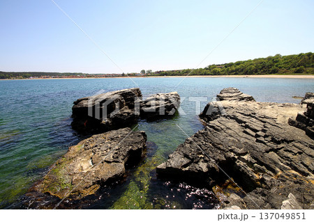 sea and cliffs. A Rocky Area By The Sea istanbul, Turkey sea and cliffs. A Rocky Area By The Sea istanbul, Turkey 137049851