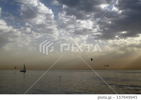 Panoramic view of Istanbul from the Bosphorus Strait. Sea cruise on the strait with a view of the city. Cityscape of Istanbul. Travel to Turkey. Panoramic view of Istanbul from the Bosphorus Strait. Sea cruise on the strait with a view of the city. Cityscape of Istanbul. Travel to Turkey. 137049945