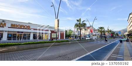 Urban street view with shops and palm trees in sunny environment 137050192