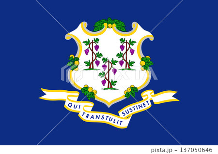 Connecticut state flag 3-2 ratio. Part of The United States of America. Clean design for print, web, or educational use. Vector illustration. 137050646