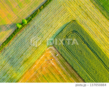 An agricultural landscape with various fields and crops. The scene captures patterns in the land and greenery. The area represents farming. An agricultural landscape with various fields and crops. The scene captures patterns in the land and greenery. The area represents farming. 137050864