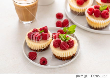 Mini cheesecakes topped with fresh raspberries on a serving plate Mini cheesecakes topped with fresh raspberries on a serving plate 137051062