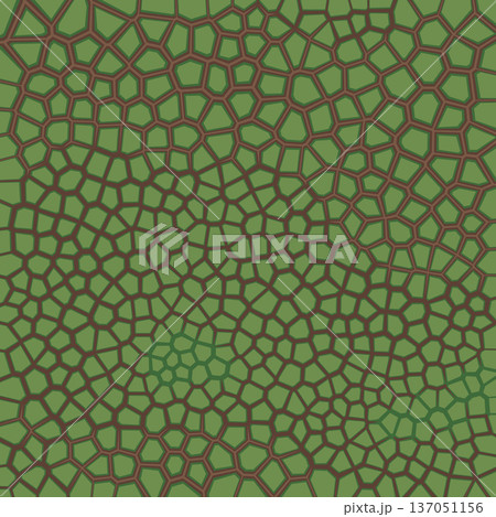 Abstract Voronoi Pattern with Organic Green Cellular Geometric Shapes 137051156