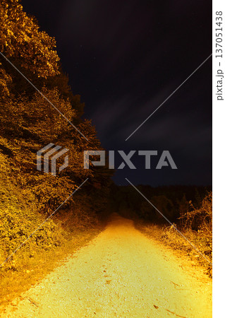 night and path road 137051438