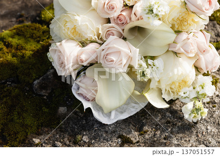 Cream roses and calla lilies arrangement on moss-covered ground Cream roses and calla lilies arrangement on moss-covered ground 137051557