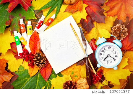 Autumn background of yellow and colored leaves, cones and nuts. place for text. Autumn background of yellow and colored leaves, cones and nuts. place for text. 137051577