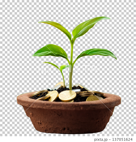 Investment growth concept represented by potted sprouts and coins 137051624