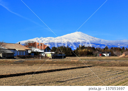 如月（きさらぎ）の庄内平野と冠雪の山並み 137051697