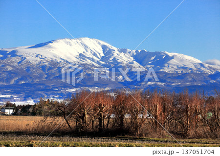 如月(きさらぎ)の庄内平野と冠雪の山並み 如月(きさらぎ)の庄内平野と冠雪の山並み 137051704
