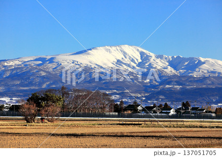 如月（きさらぎ）の庄内平野と冠雪の山並み 137051705