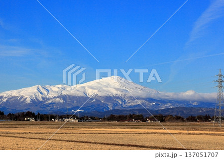如月（きさらぎ）の庄内平野と冠雪の山並み 137051707