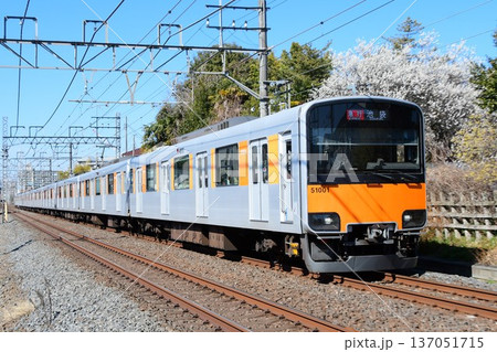 梅と蝋梅が咲く横を走る東武50000系51001F 137051715
