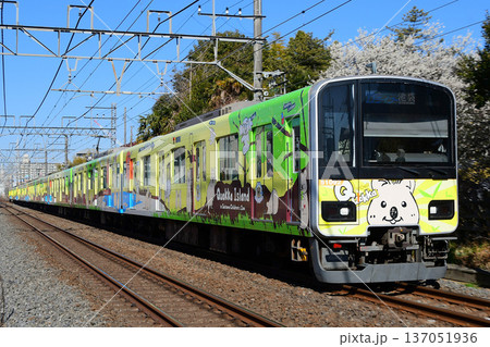 咲いた梅を背景に走る東武50090型51092Fクオッカトレイン　TJライナー池袋行 137051936